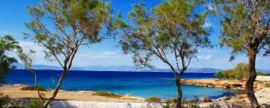 Yacht Charter in Aegina